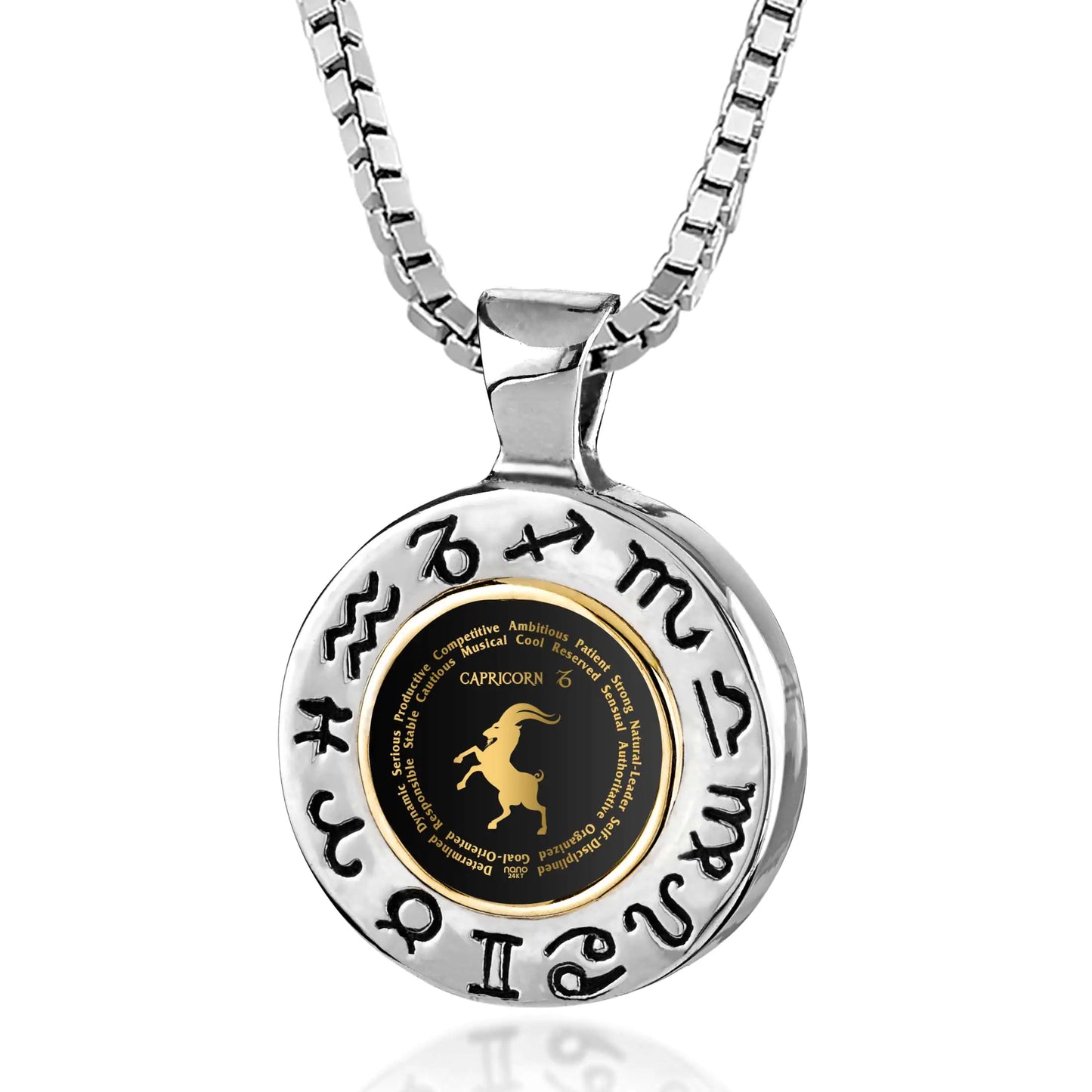 Capricorn Zodiac Sign Necklace