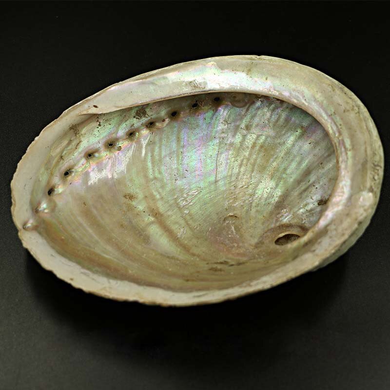 White Sage Abalone Set - MoonlightMysticVibes.com