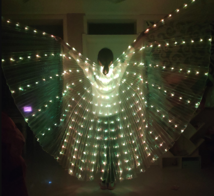 LED Belly Dance Wings/ Colorful Butterflies Wings * - MoonlightMysticVibes.com